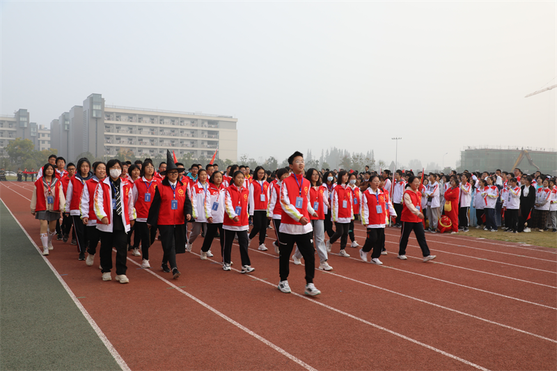 图片 31.png