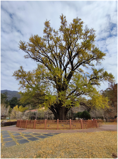 1637542477693672.png blob.png