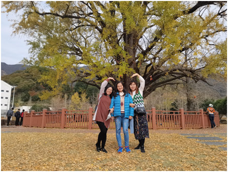 1637542498113220.png blob.png