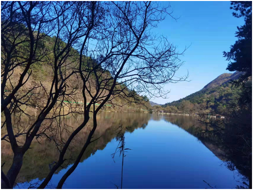 1637542522120174.png blob.png