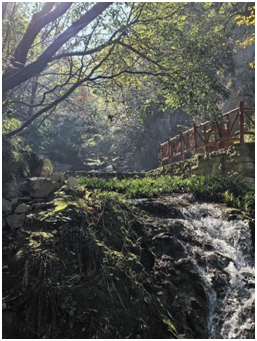 1702431277633212.png image.png