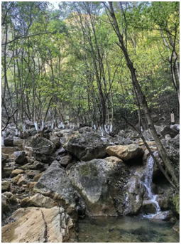 1702431286735456.png image.png