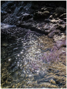 1702431308263913.png image.png