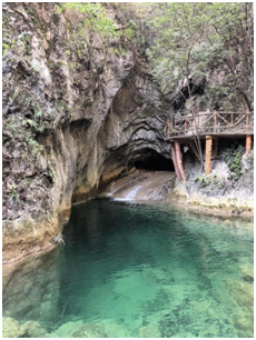 1702431314837011.png image.png