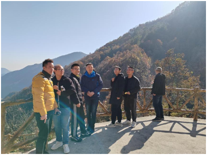 1702431469958317.png image.png